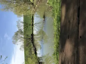 Devanzare balta 10 are + 30 are