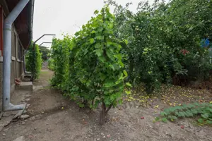 Casa cu 5 camere de vanzare | Dumbrava, Prahova I Comision 0% - imagine 17