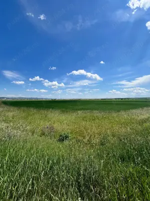 Teren extravilan 21.900 mp   Parcul Industrial Reiff, Câmpia Turzii - imagine 6