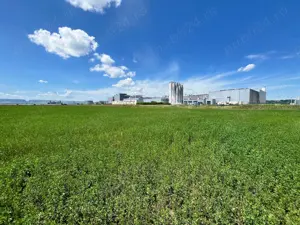 Teren extravilan 21.900 mp   Parcul Industrial Reiff, Câmpia Turzii - imagine 5