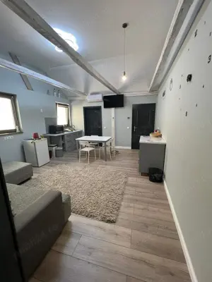 Apartament Central Oradea Dorobanțiilor - imagine 5