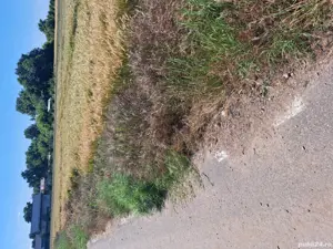 teren intravilan, 35 euro mp ușor negociabil