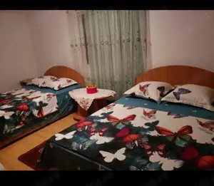 Cazare Borsa Maramures - imagine 4 Cazare Borsa Maramures - imagine 4