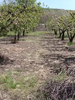 Casa de vanzare - imagine 4