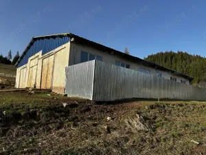 Oportunitate rara - Ferma de vaci, com Breaza, Suceava - imagine 2