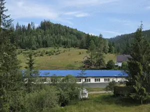 Oportunitate rara - Ferma de vaci, com Breaza, Suceava - imagine 3