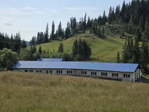 Oportunitate rara - Ferma de vaci, com Breaza, Suceava