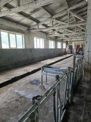 Oportunitate rara - Ferma de vaci, com Breaza, Suceava - imagine 6