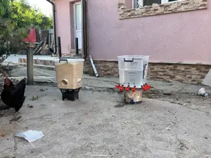 De vânzare hrănitoare și adăpatori gaini