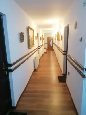 Vila ultracentral campulung moldovenesc - imagine 7