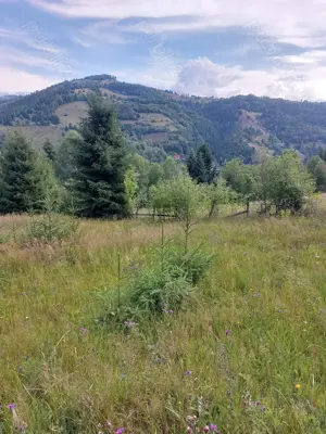 teren de vanzare in Comuna Vadu Motilor 5000mp pret 4euro mp - imagine 2