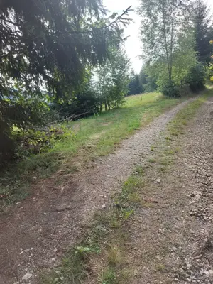 teren de vanzare in Comuna Vadu Motilor 5000mp pret 4euro mp - imagine 3