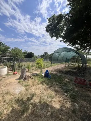 Casa de vacanta - Munteni Buzau - Jutetul Ialomita - Curte 2000mp  - imagine 3