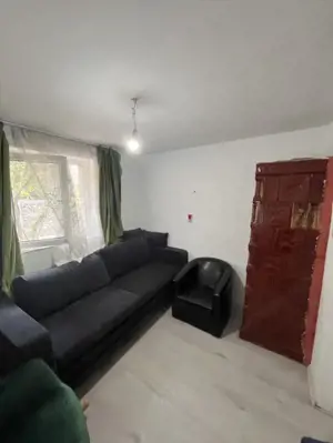 Casa de vacanta - Munteni Buzau - Jutetul Ialomita - Curte 2000mp  - imagine 10