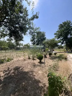 Casa de vacanta - Munteni Buzau - Jutetul Ialomita - Curte 2000mp  - imagine 15