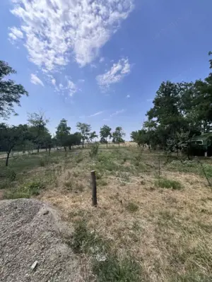 Casa de vacanta - Munteni Buzau - Jutetul Ialomita - Curte 2000mp  - imagine 13