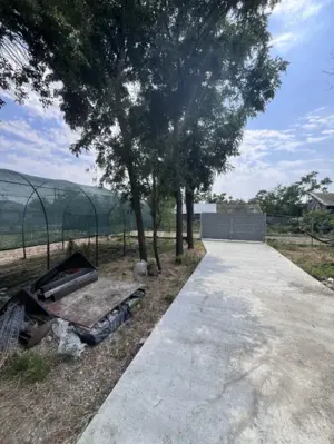 Casa de vacanta - Munteni Buzau - Jutetul Ialomita - Curte 2000mp  - imagine 4