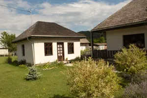 Casă tradițională renovată (2023), 3 anexe, 22.696 mp teren   zona Leghin, Neamt - imagine 4