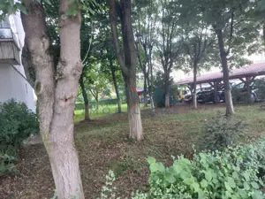 Apartament 3 camere, mobilat, comision 0% – Mureșeni - imagine 8