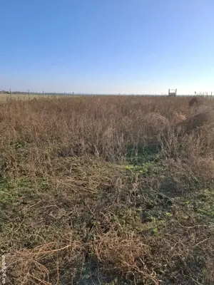 Teren 800 mp zona Drumul Fermei - imagine 2 Teren 800 mp zona Drumul Fermei - imagine 2