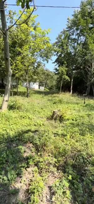 Teren de vânzare  550  mp  - Cicârlău