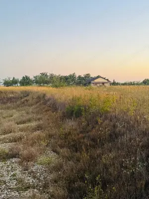 AV655 Teren-Balta 6.666mp, in Masloc-Alios, IDEAL INVESTITIE - imagine 4