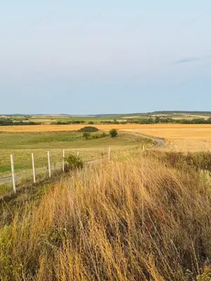 AV655 Teren-Balta 6.666mp, in Masloc-Alios, IDEAL INVESTITIE - imagine 12