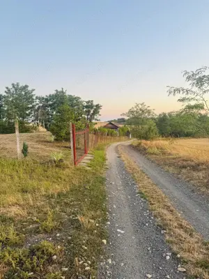 AV655 Teren-Balta 6.666mp, in Masloc-Alios, IDEAL INVESTITIE - imagine 7