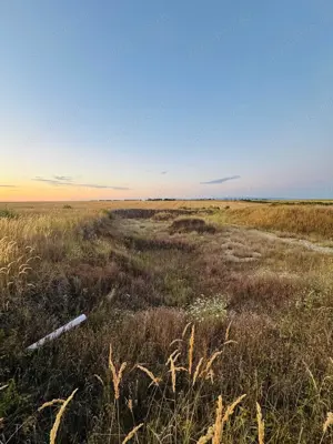 AV655 Teren-Balta 6.666mp, in Masloc-Alios, IDEAL INVESTITIE - imagine 9