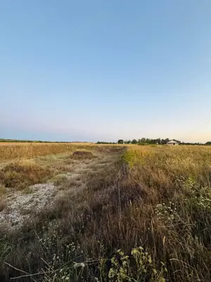 AV655 Teren-Balta 6.666mp, in Masloc-Alios, IDEAL INVESTITIE - imagine 10