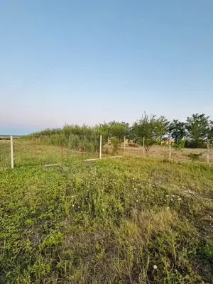 AV655 Teren-Balta 6.666mp, in Masloc-Alios, IDEAL INVESTITIE - imagine 6