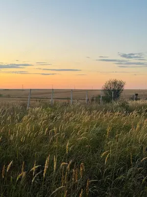 AV655 Teren-Balta 6.666mp, in Masloc-Alios, IDEAL INVESTITIE - imagine 14