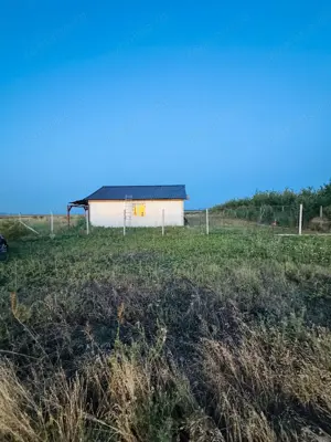 AV655 Teren-Balta 6.666mp, in Masloc-Alios, IDEAL INVESTITIE - imagine 13