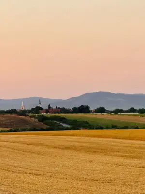 AV655 Teren-Balta 6.666mp, in Masloc-Alios, IDEAL INVESTITIE