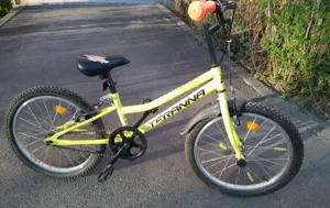 Bicicleta copii DHS Teranna, 20 inch