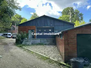  Hale de vanzare pe drumul Lupacului