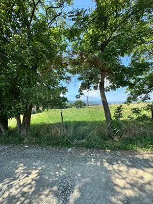 Teren 1,534mp Sighetu Marmatiei / Strada Tractorului - imagine 3