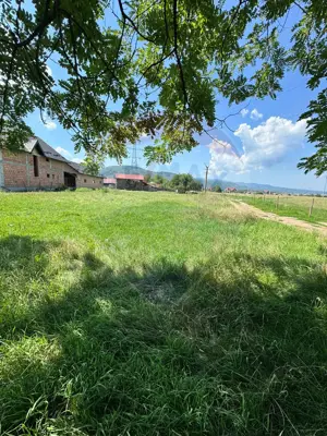 Teren 1,534mp Sighetu Marmatiei / Strada Tractorului - imagine 5