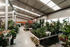 Spațiu industrial de 457mp de vânzare în zona Calea Santandrei - imagine 3