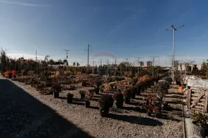 Spațiu industrial de 457mp de vânzare în zona Calea Santandrei - imagine 10