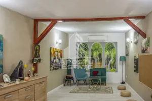 Vila,Piscina,teren fotbal,gradina,vegetatie