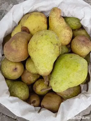 Palinca de pere - imagine 3