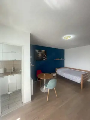 Oportunitate! Garsoniera de vanzare, 28 mp, balcon 6 mp, etaj 9, zona Vivo - imagine 4