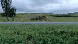 Vând teren intravilan în Dofteana, județul Bacău 2.039 mp,  cu dublu acces: DN12 și cale ferată - imagine 2