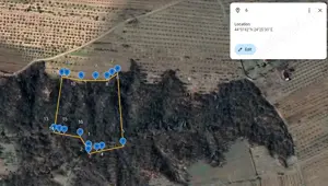 Vand padure 10.000m2 jud Valcea Olt, Sat Ciresu Vitomiresti  Bulimanu 1.6lei  m2 - imagine 4