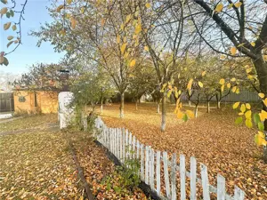 Casa cocheta 2 camere si curte superba Harman - imagine 10