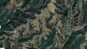 Vand padure 10.000m2 jud Valcea Olt, Sat Ciresu Vitomiresti  Bulimanu 1.6lei  m2 - imagine 2