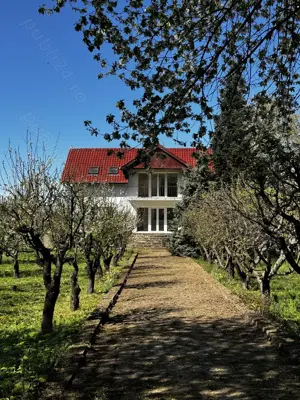 Vila cu livada Paulis, Arad