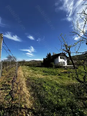 Vila cu livada Paulis, Arad - imagine 8