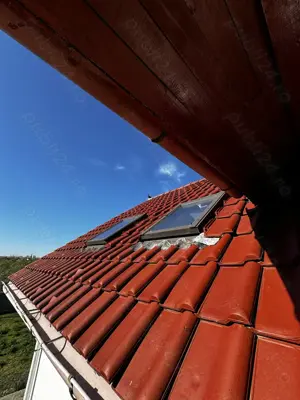 Vila cu livada Paulis, Arad - imagine 5